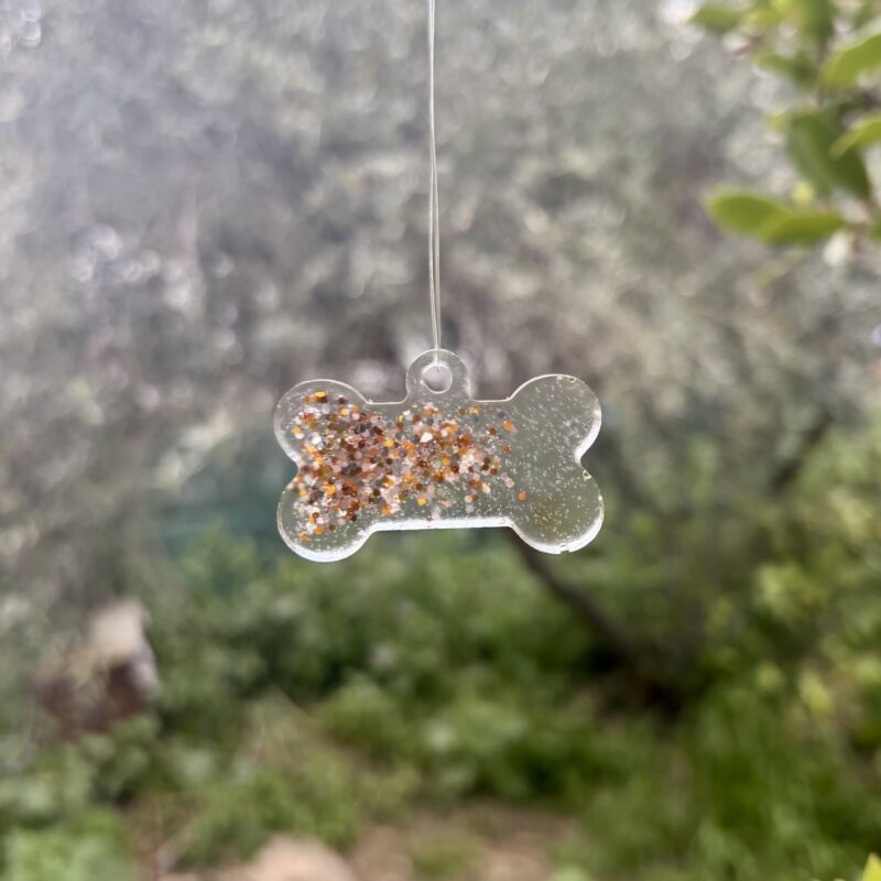 Ταυτότητα σκύλου - 3