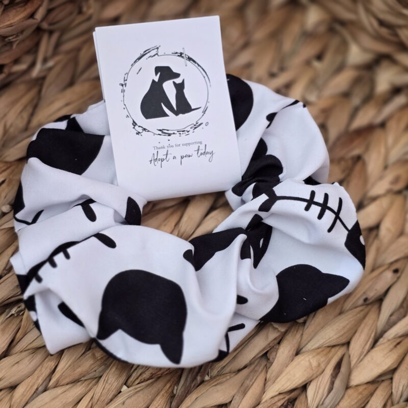 Scrunchie cats!