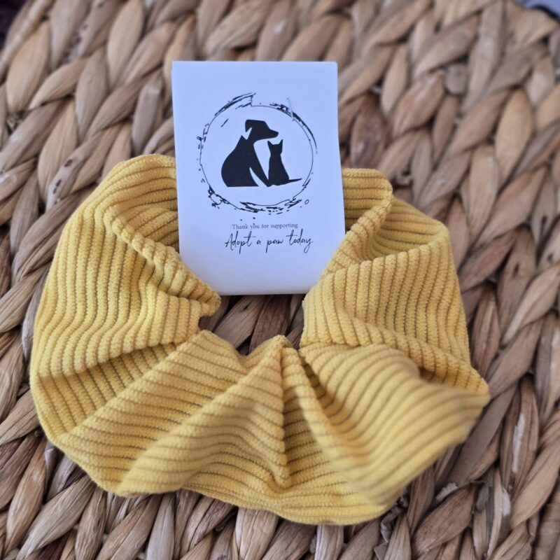 Yellow stripes